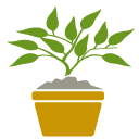 Gemuesepflanzen-Icon